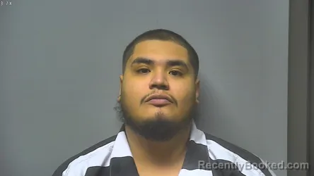 Mugshot of DOMINGO GONZALES