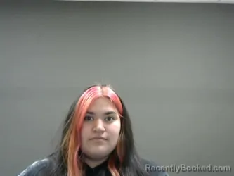 Mugshot of ARIEL PEDRAZA booked in Saginaw County, Michigan on April 1, 2026