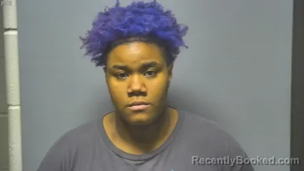 Mugshot of MARIAH DOMINESE RICHARDSON booked in Saginaw County, Michigan on April 1, 2026