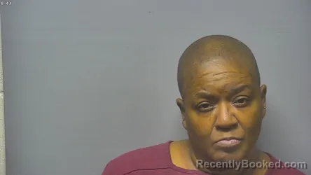 Mugshot of Andrea Michelle Mcgahee