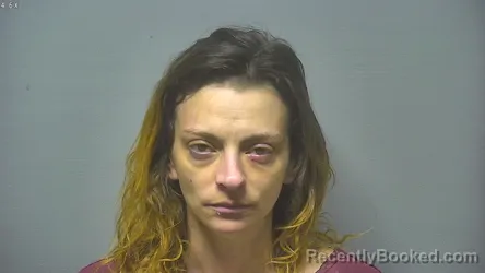 Mugshot of SHELLY ANN FLEMING booked in Saginaw County, Michigan on May 9, 2026