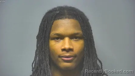 Booking photo from Saginaw County, Michigan