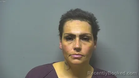 Mugshot of MELISSA NANNETTE LAPONSIE booked in Saginaw County, Michigan on June 14, 2026