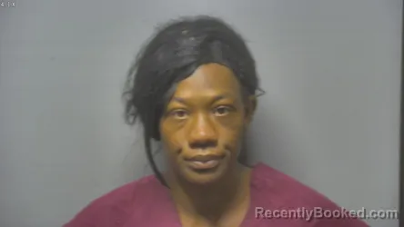 Mugshot of CHATIRA SHEANN PETERSON booked in Saginaw County, Michigan on June 24, 2026