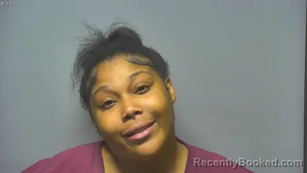 Mugshot of KANAIYA MONEA BIBBS booked in Saginaw County, Michigan on June 29, 2026