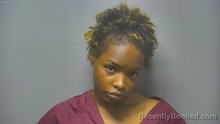 Mugshot of JANILA RENEE HAYES booked in Saginaw County, Michigan on July 1, 2026