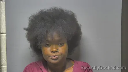 Mugshot of SCINTERRIA LOUELLA DIANE MCMULLEN booked in Saginaw County, Michigan on July 8, 2026
