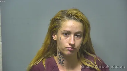 Mugshot of NEVAEH LORAINE MARTINEAU booked in Saginaw County, Michigan on July 15, 2026