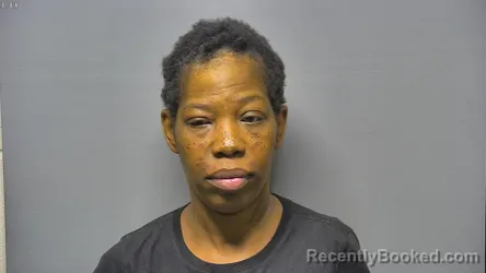 Mugshot of TASIMA LAJEAN JOHNSON booked in Saginaw County, Michigan on July 28, 2026