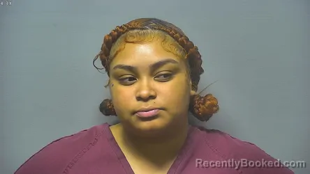 Mugshot of Danayjah Markeeah Dorsey booked in Saginaw County, Michigan on August 8, 2026