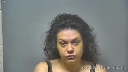 Mugshot of Idalia Dmariz Santiago booked in Saginaw County, Michigan on August 12, 2026