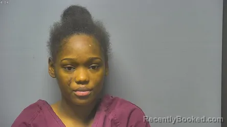 Mugshot of Damionna Ernestine Kay Braddock booked in Saginaw County, Michigan on August 13, 2026