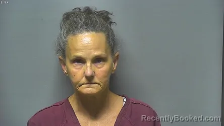 Mugshot of Shelley Anne Shaffer booked in Saginaw County, Michigan on August 20, 2026