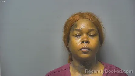 Mugshot of Rita Nicole Mitchell booked in Saginaw County, Michigan on September 15, 2026