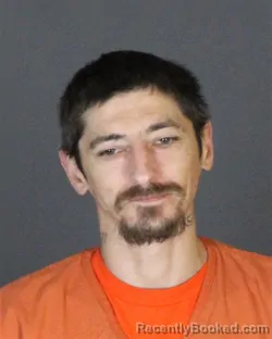 Mugshot of MICHAEL DAVID FREEMAN