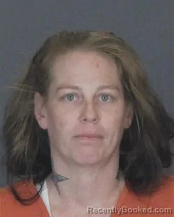 Mugshot of BRANDY ROSE SOBOLESKI