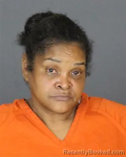 Mugshot of URSULA MARIE SEARLES booked in St Clair County, Michigan on July 4, 2026