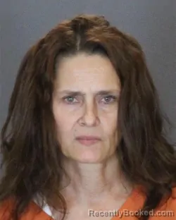 Mugshot of Michelle Lynne Meyers booked in St Clair County, Michigan on August 7, 2026
