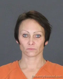 Booking photo from St Clair County, Michigan