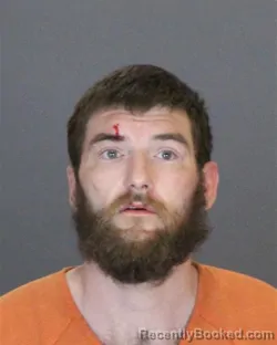 Mugshot of NATHAN ARISTOTLE COSTA