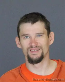 Mugshot of ELBERT JOEL DEVINNEY booked in St Clair County, Michigan on May 14, 2026