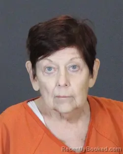 Mugshot of Pamela Arnett Macdonald booked in St Clair County, Michigan on July 31, 2026