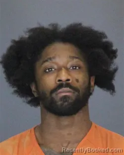 Booking photo from St Clair County, Michigan