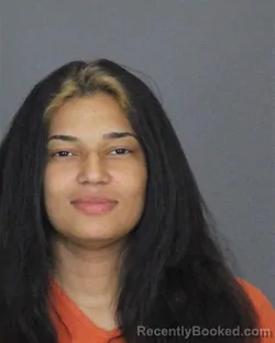 Booking photo from St Clair County, Michigan