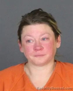 Booking photo from St Clair County, Michigan