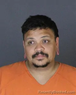 Mugshot of FRANCISCO ANTONIO DIAZ-DRIESSNACK booked in St Clair County, Michigan on June 26, 2026