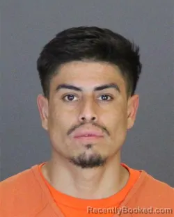 Mugshot of REY ANGELES-ANGELES