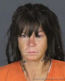 Mugshot of Rebecca Elizabeth Nadeau booked in St Clair County, Michigan on July 25, 2026