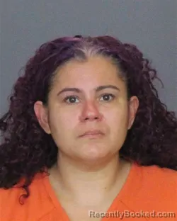 Mugshot of SARAH LYNN ANDREWS booked in St Clair County, Michigan on June 17, 2026