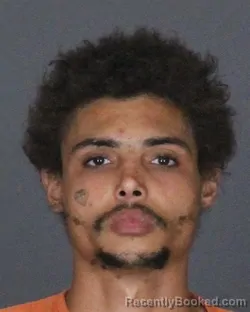 Mugshot of Damon Izaiha Snyder