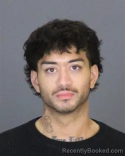 Mugshot of MICHAEL JOSH STOVER