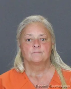 Mugshot of SUZANNE CHERYL MEDINA booked in St Clair County, Michigan on June 30, 2026
