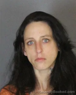 Mugshot of LYNANNE ELIZABETH SULLIVAN booked in St Clair County, Michigan on June 18, 2026