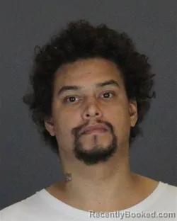 Mugshot of TOMMY LEE JR FURESZ