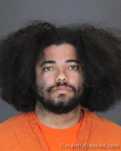 Mugshot of JAMES JULIUS JEMISON