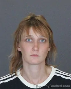 Mugshot of Brandi Marie Hogsett booked in St Clair County, Michigan on July 29, 2026