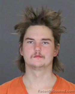 Booking photo from St Clair County, Michigan