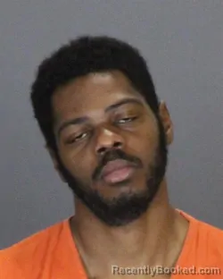 Booking photo from St Clair County, Michigan