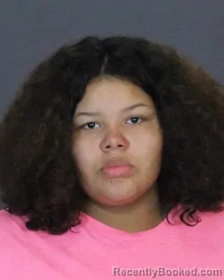 Mugshot of KATARAH DAWN DEWITT