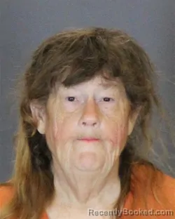 Mugshot of LORNA CATHERINE CHISHOLM booked in St Clair County, Michigan on June 25, 2026