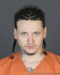 Mugshot of CONNER DANIEL ZIMMERMAN