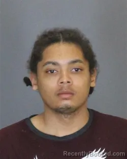 Mugshot of VINCENT ARNOLD HANER