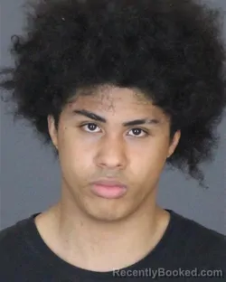 Mugshot of DYEAIRE GEORDIN WALLS