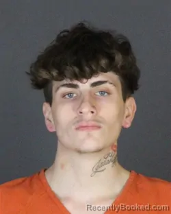 Mugshot of DAMON RAY LARIME