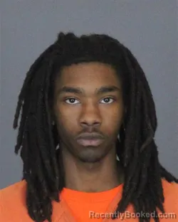 Mugshot of JOE WILLIE HAYNES