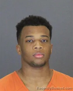 Booking photo from St Clair County, Michigan